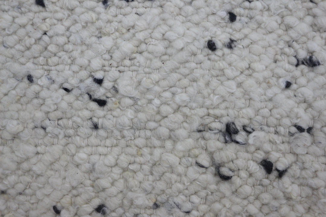 Hand Woven Modern Neutral Area Rug in White