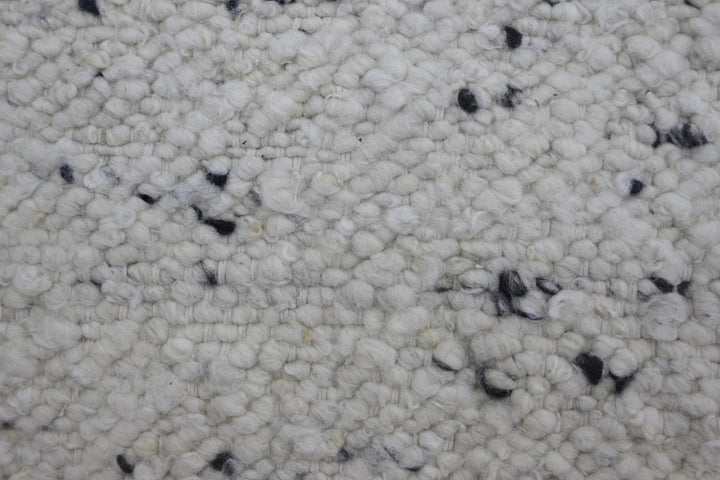 Hand Woven Modern Neutral Area Rug in White