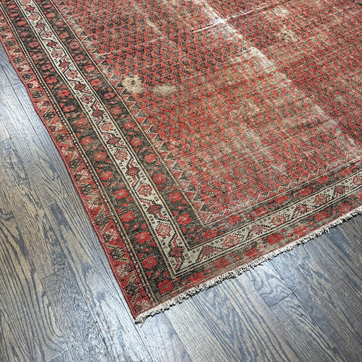 Persian Antique Paisely Rug