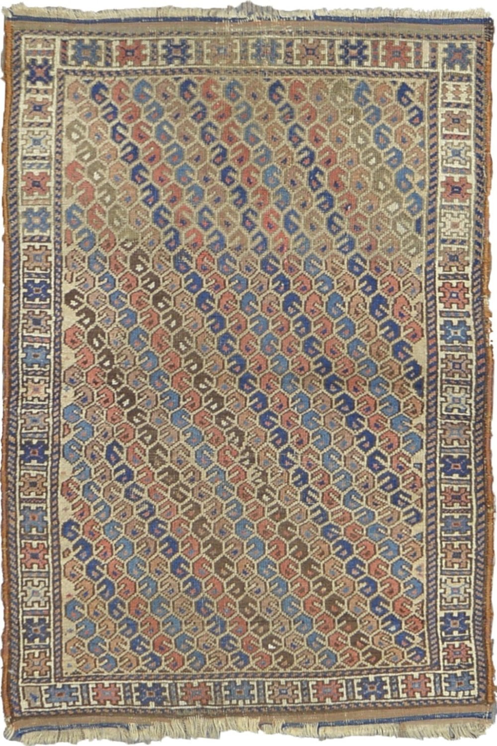 Tribal Afgani Baluchi Rug