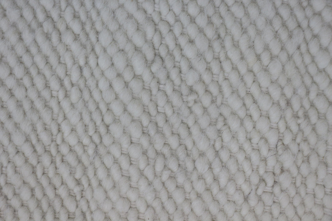 Hand Woven Modern Neutral Area Rug in white